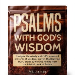 Divine Wisdom Book 2 - Christian Testament Meditations Kindle-0